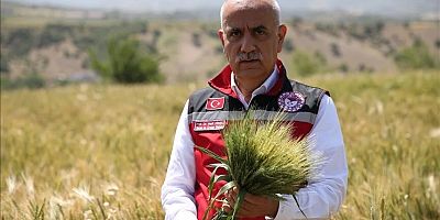 Bakan Kirişci: Buğdayda beklenen 21 milyon ton rekolte Türkiye'nin ihtiyacının karşılanması noktasında yeterli
